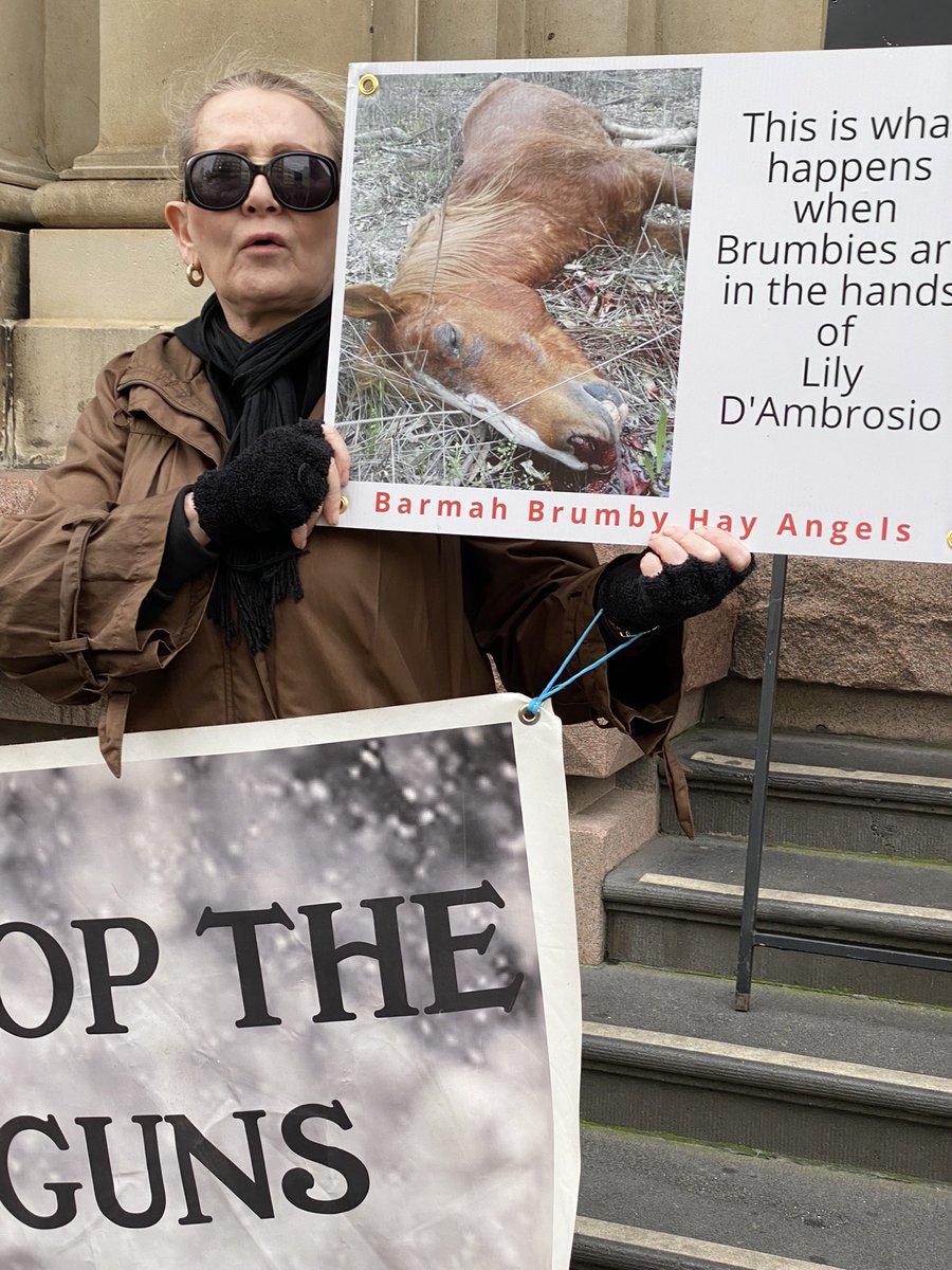 brumbies2stay's tweet photo. #stopthebullets on our iconic brumbies. https://t.co/3b3QgaNIjV