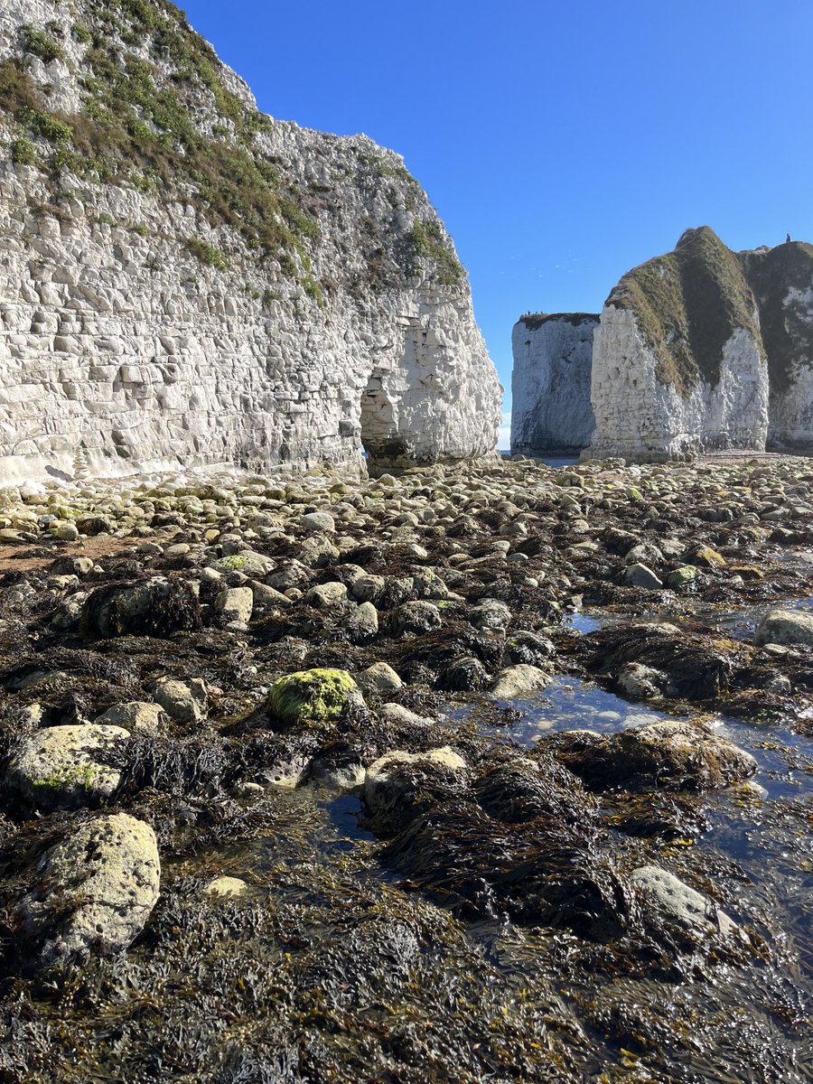 GreedyLyndon's tweet photo. Went on a birthday adventure with little boat to Old Harry Rocks #laserperformance #studland ⛵️ ☀️ 🌊 🌬 https://t.co/u0nDKwDVXF