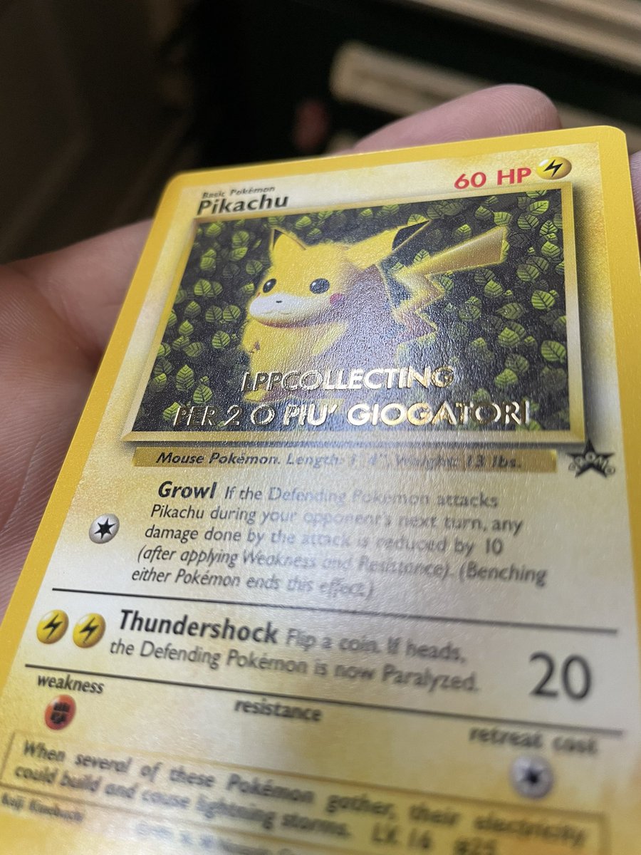 PikachuCollect tweet picture