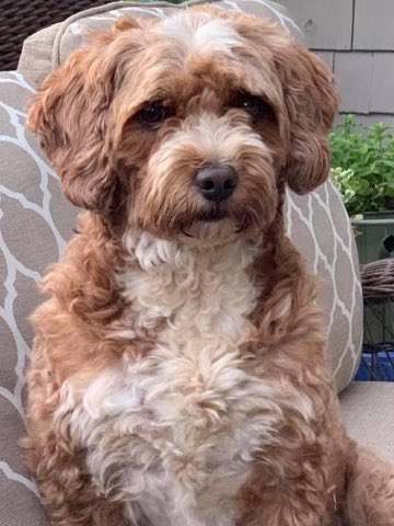 Cheryl Hansen tweet media