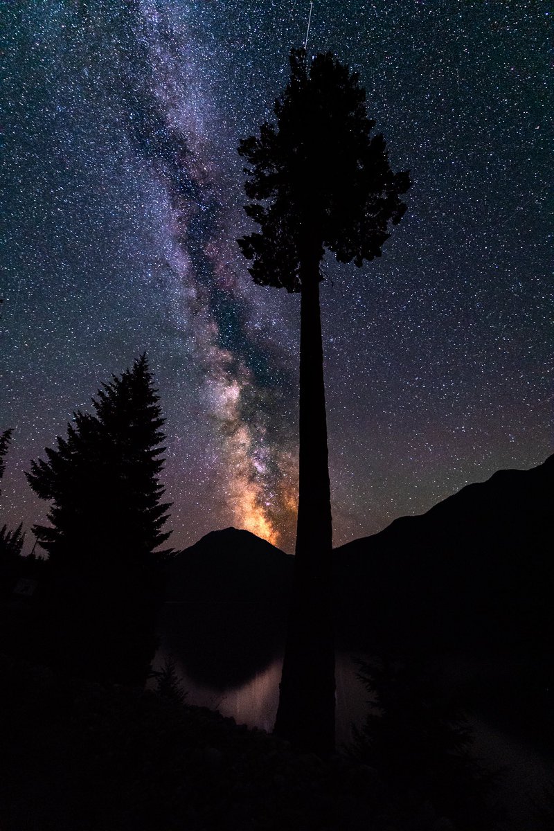 250Court's tweet photo. The Milky Way over Buttle Lake, Vancouver Island, BC https://t.co/bU121Y3mYx