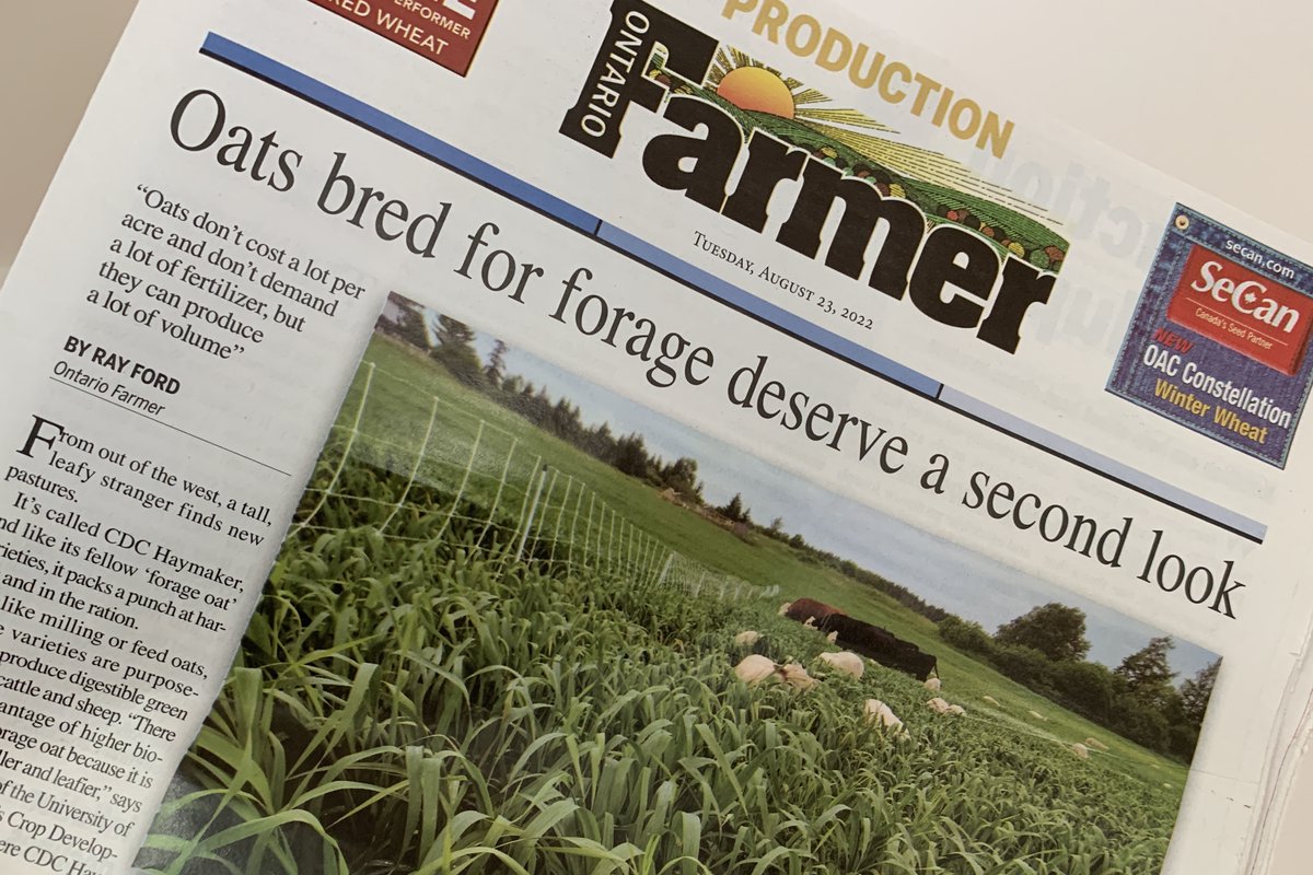 w_vanderpol's tweet photo. Thanks to whoever @OntFarmerNews decided to give @SeCan a front page ad for #CDCHaymaker! Seed of this #forageoat variety is available coast to coast from @SeCan retailers including @SnobelenGrain #ontag #genesthatfit๐ฎ๐ https://t.co/Dv8GOklIgC