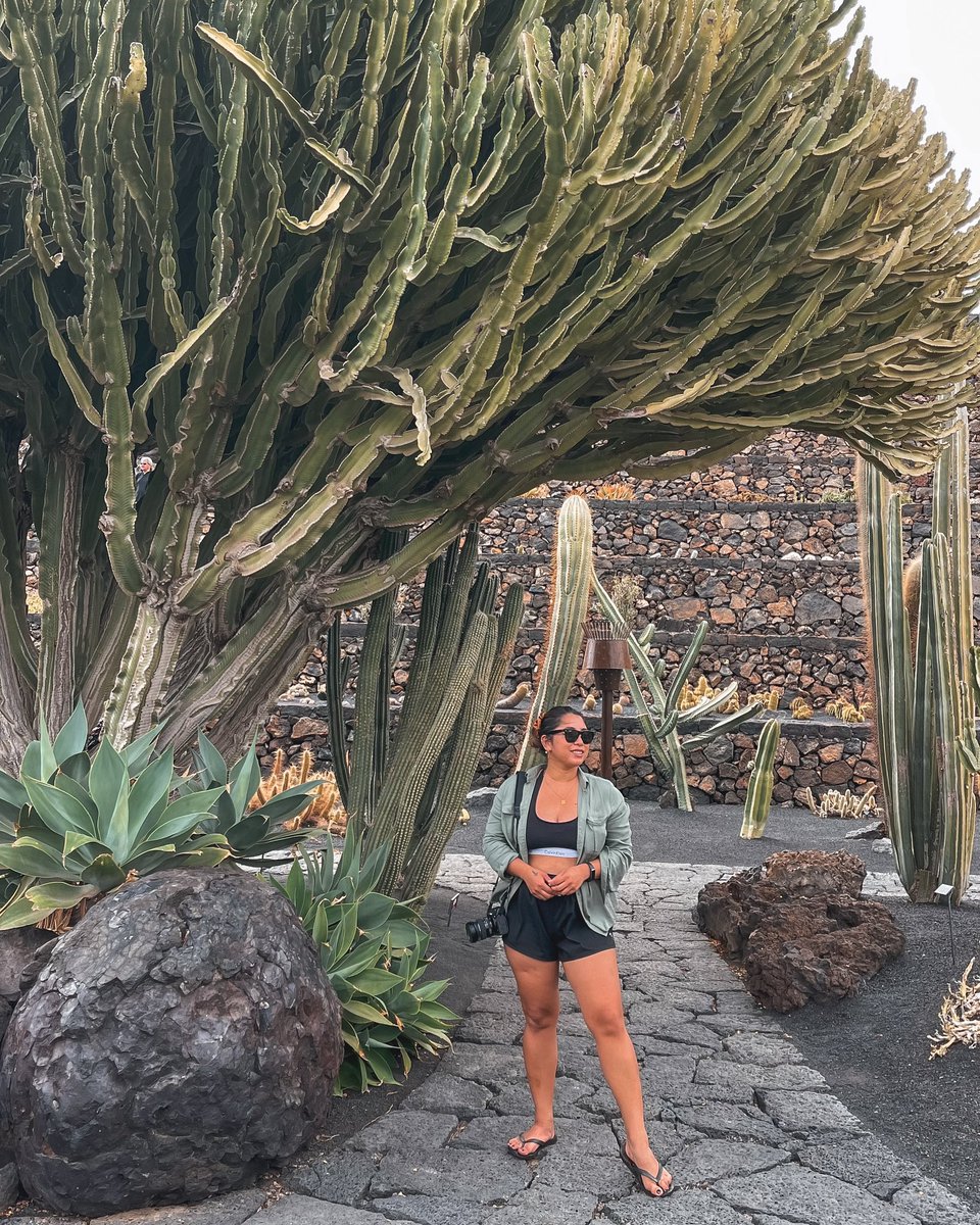 jillboiser's tweet photo. Oslo ll Lanzarote https://t.co/uPmeHloJ2F