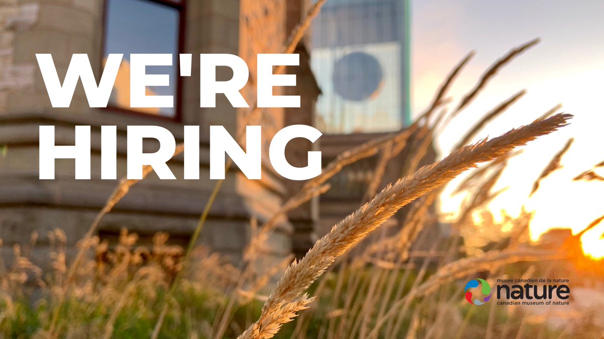 Museum of Nature on Twitter "📌 New job opportunities 1. Sales