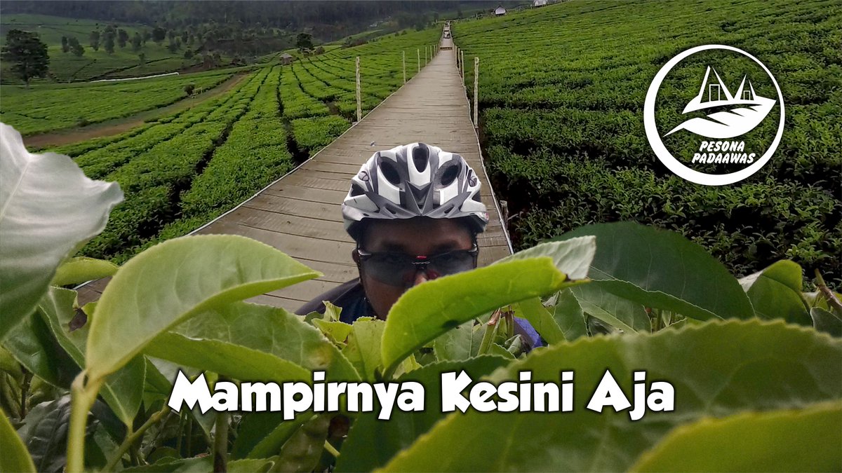 Pedal Muih tweet media