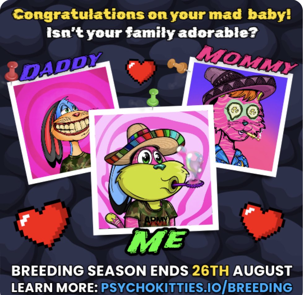 MarroccoliCarlo's tweet photo. My @MadHareSociety and PsychoMolly did it like they do on the Discovery Channel and got freaky in my wallet 😏 Now I have a MAD BABY 😺 #MadHareBaby https://t.co/wUJbhDnS9D