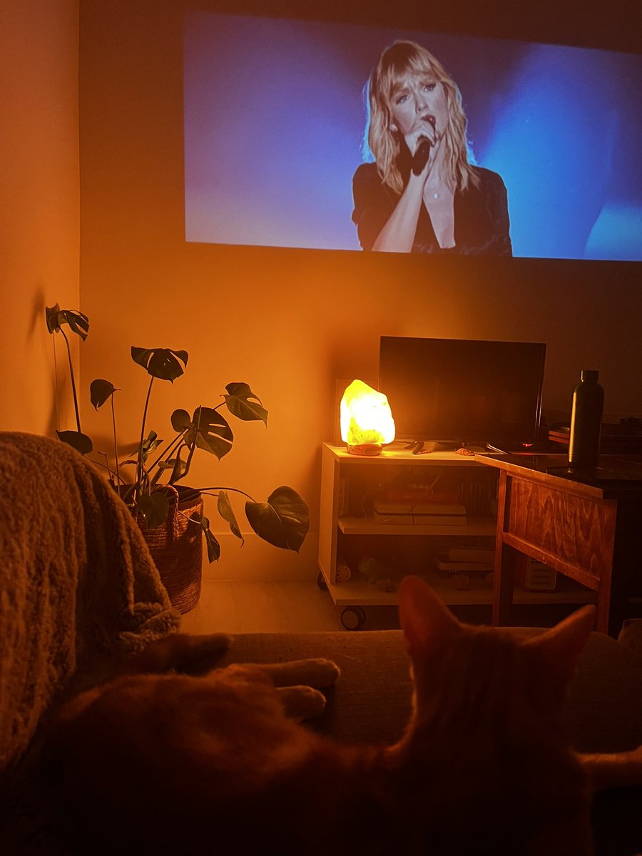 Liv_swiftieTV's tweet photo. #TSCityOfLover mi gato es swiftie #LoverWeek @taylorswift13 https://t.co/zzJlvUX3nJ