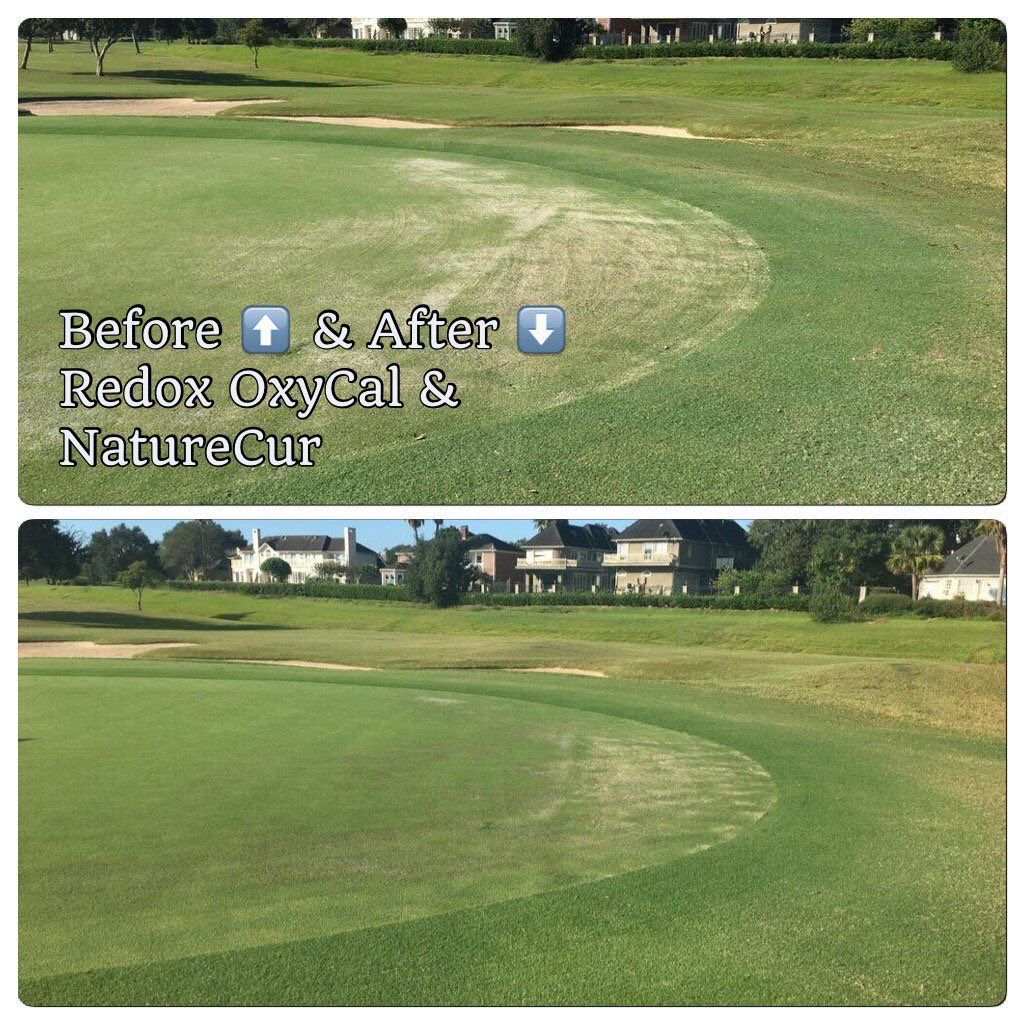 michael_fance's tweet photo. 2. The go-to recovery mix from @AquatrolsEurope @redoxgrows #TurfRx range: #OxyCal & #NatureCur
Post-biotic stresses such as fungal disease ✅
Post-aeration ✅
Post-renovation ✅
Post-abiotic stresses such as heat and drought ✅
Post-turf scorch ✅
@Aquatrols #TriedTestedTrusted https://t.co/554jkpTbTE