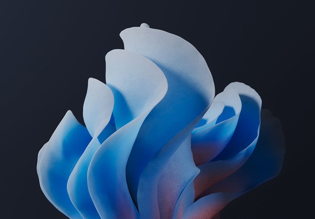 Ezequiel Pini (Six N. Five) tweet media