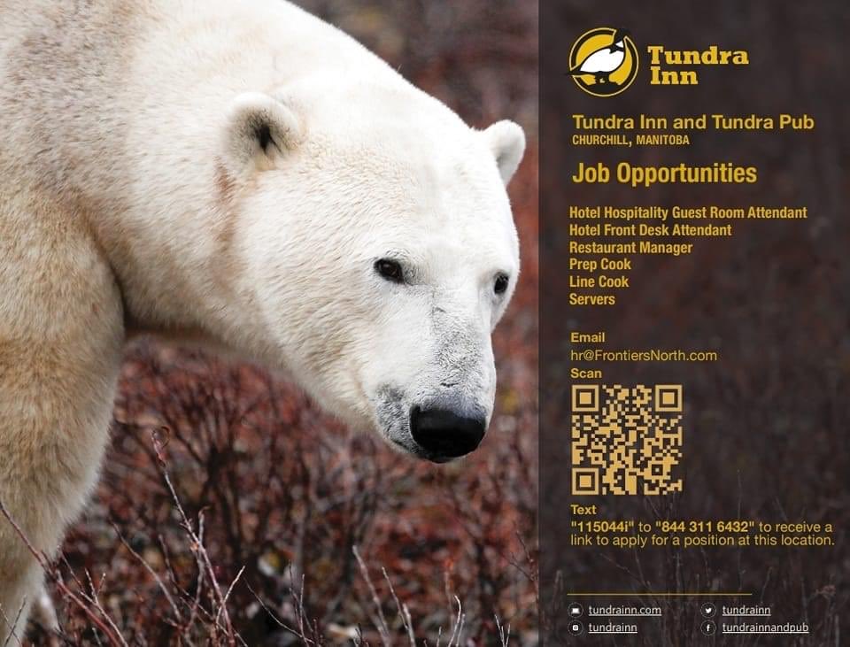 TundraInn's tweet photo. #BearSeason2022 is right around the corner! https://t.co/TKNwwchojX