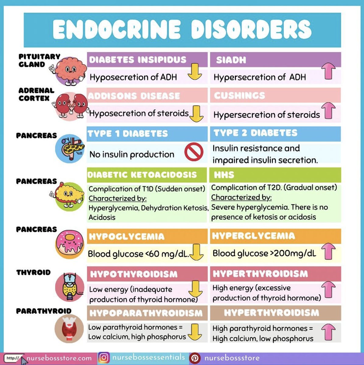 Innov_Medicine's tweet photo. A quick run-through of some endocrine disorders
via nursebossessentials
#endotwitter #meded #medtwitter #foamed https://t.co/Vkp3vN6tiE