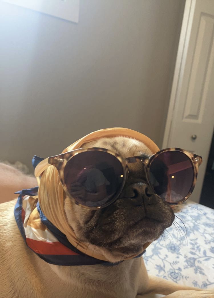 Miranda Wardman tweet media