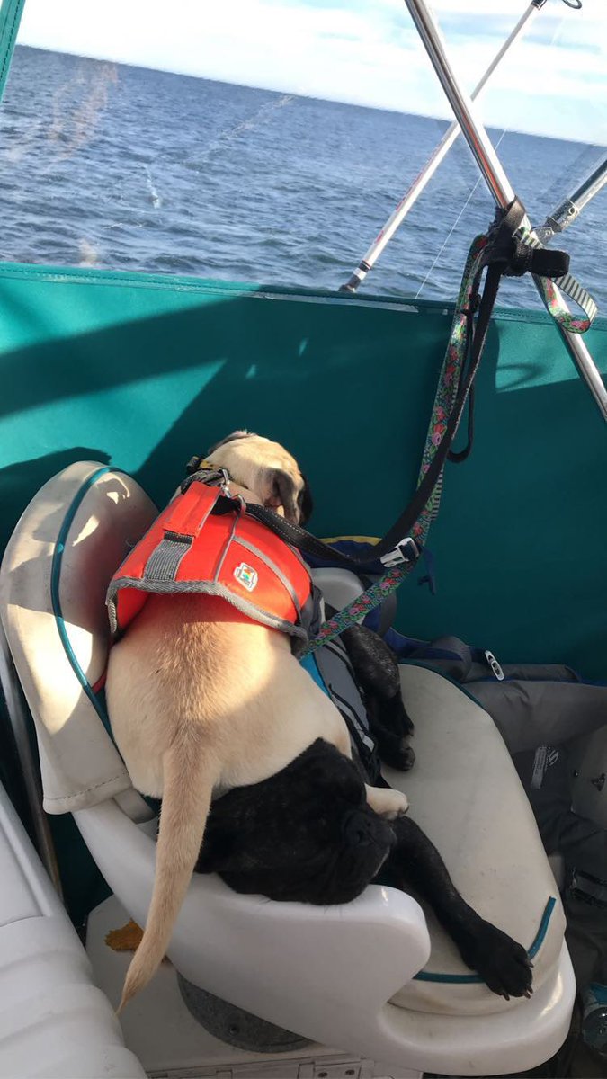 Miranda Wardman tweet media