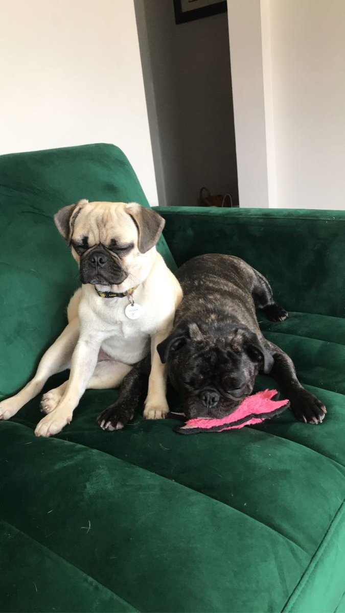 Miranda Wardman tweet media