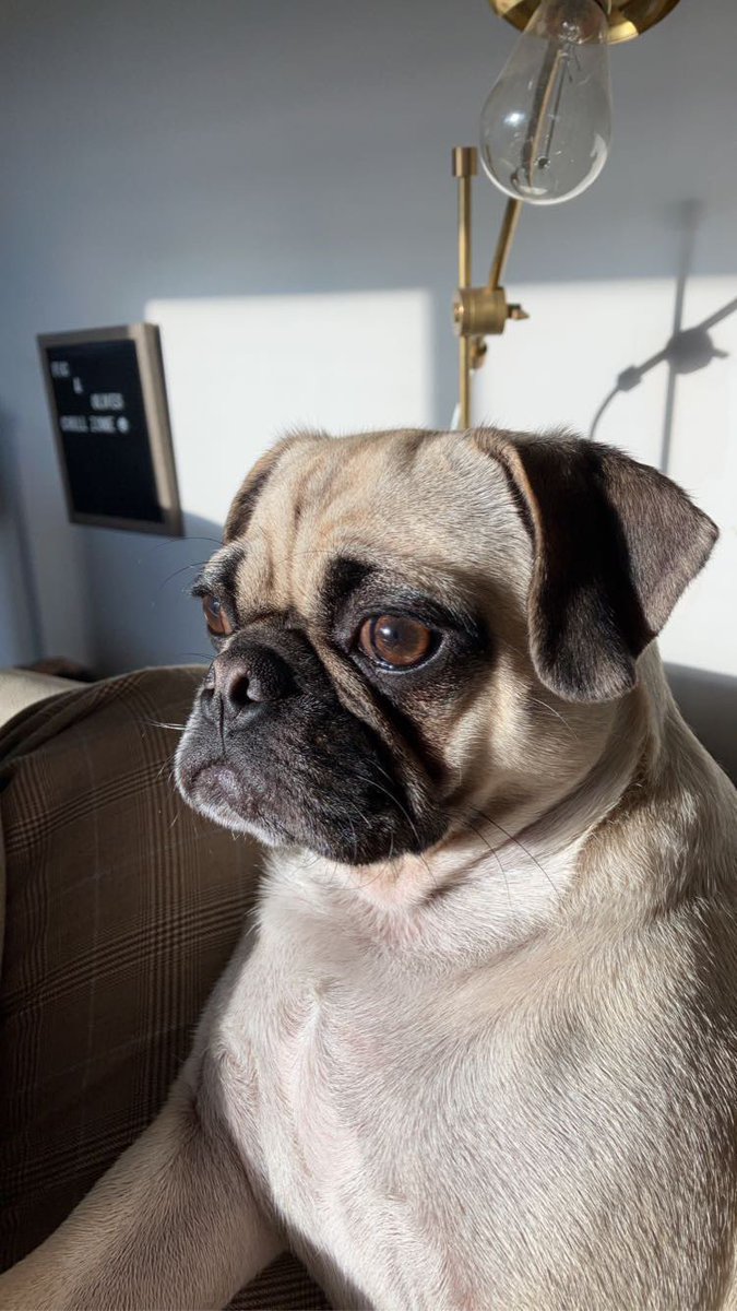 Miranda Wardman tweet media