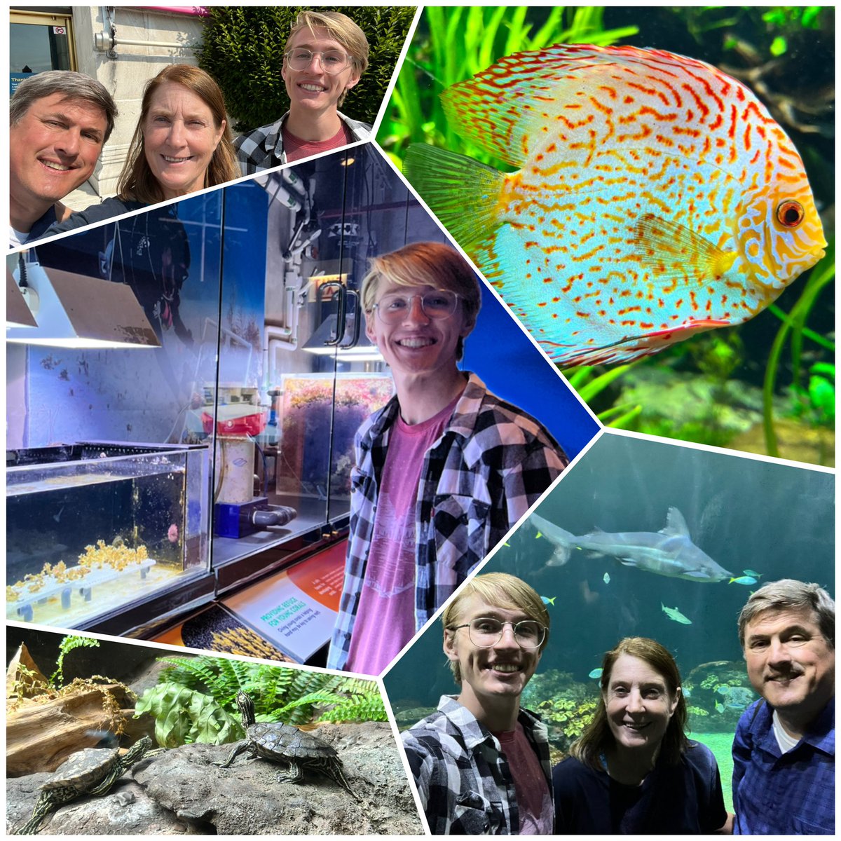 Dina Kwit tweet media