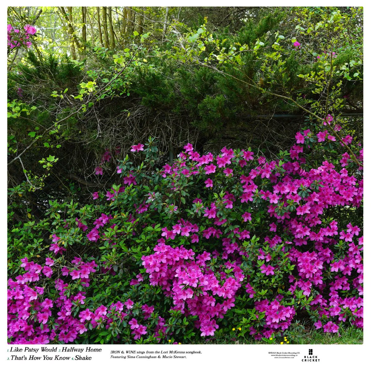 Have you heard? Iron &amp; Wine will be releasing 'LORI' on 9/16!  
Recorded at the Sam Phillips Studios with producer Matt Ross-Spang and <a href="/Finommusic/">FINOM</a> , LORI features 4 of I&amp;W's favorite songs by <a href="/LoriMcKennaMA/">Lori McKenna</a> 
Stream/Buy "That's How You Know": lnk.to/IWTHYK