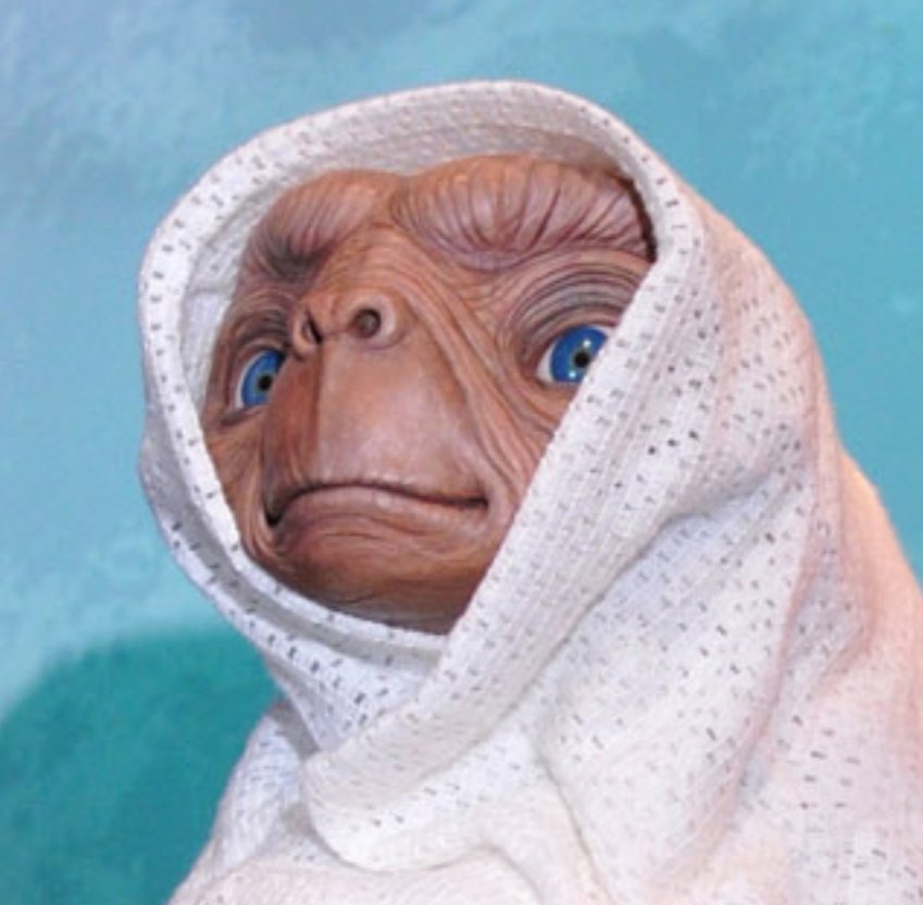 Rotochop (@rotochop_) on Twitter photo 