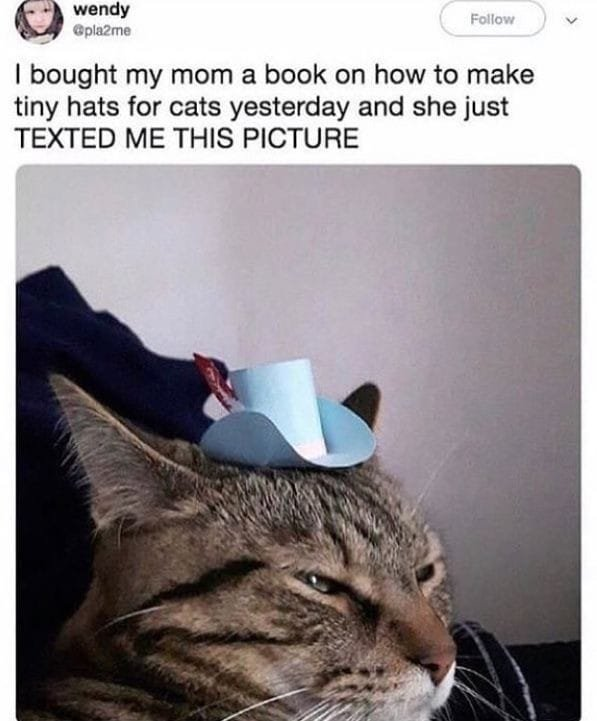 WholesomeMeme's tweet photo. https://t.co/xM4TxKLzPz