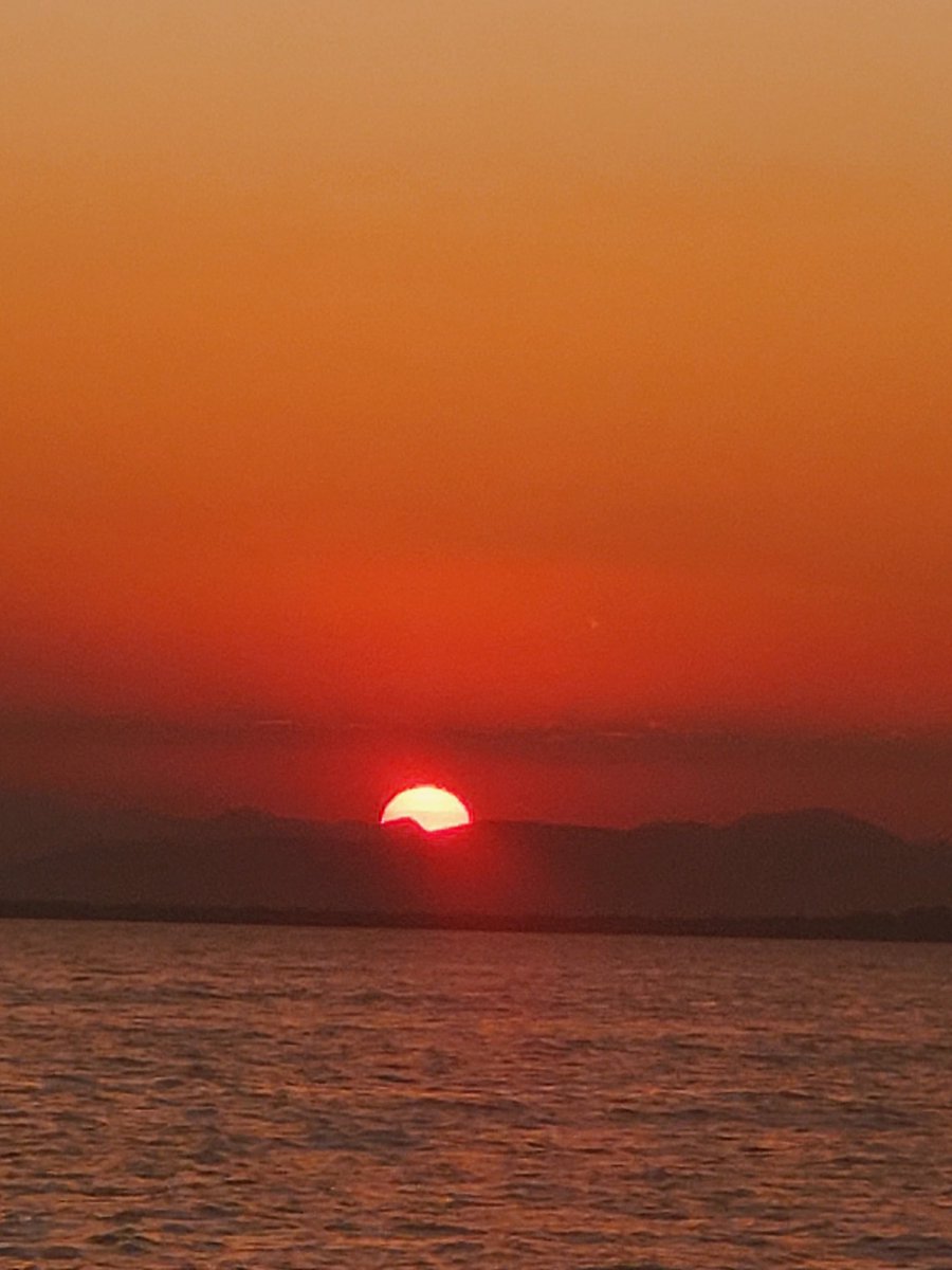 Lynn Pasquerella tweet media