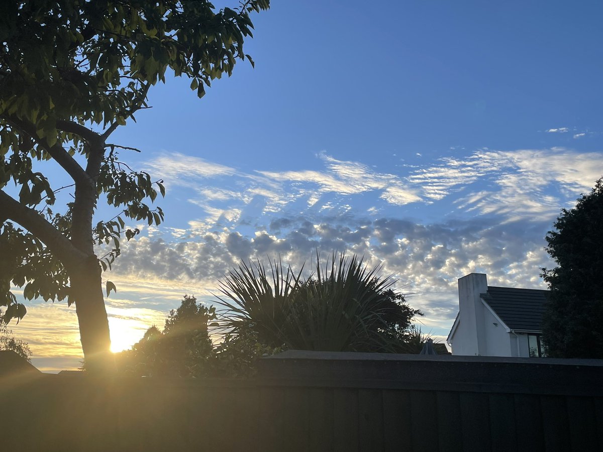 AndrewesTanya's tweet photo. Making good progress with #heavy #philosophy #PhDreading. Rewarded with a bit of #gardening then an evening #cycle. Some amazing #clouds this evening. https://t.co/CablCJIIlj
