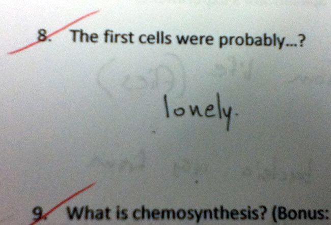 gwenslucifer's tweet photo. characters as wrong answers in tests: sandman edition ✏️ https://t.co/sJFFCkxlWd