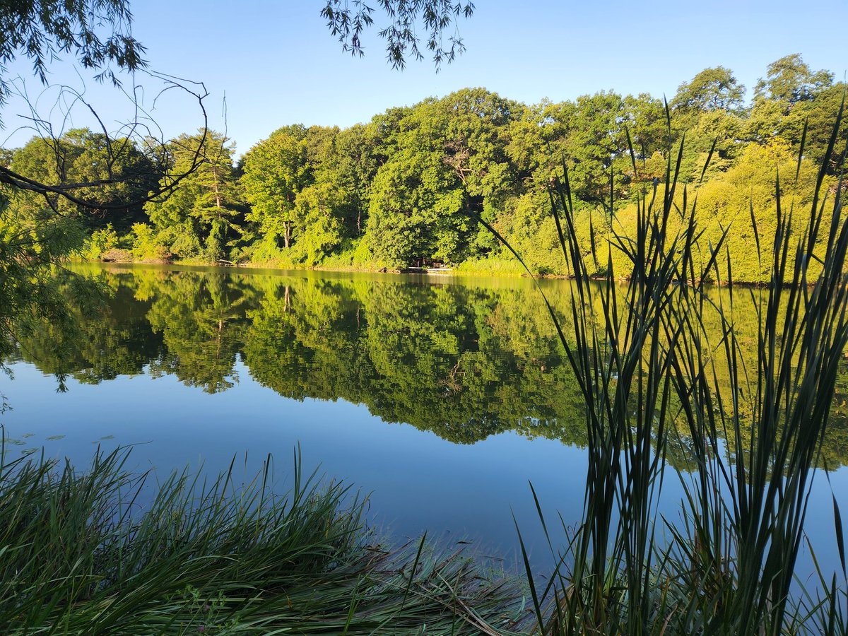 EdRubinstein's tweet image. #GrenadierPond like glass during this morning's #run.