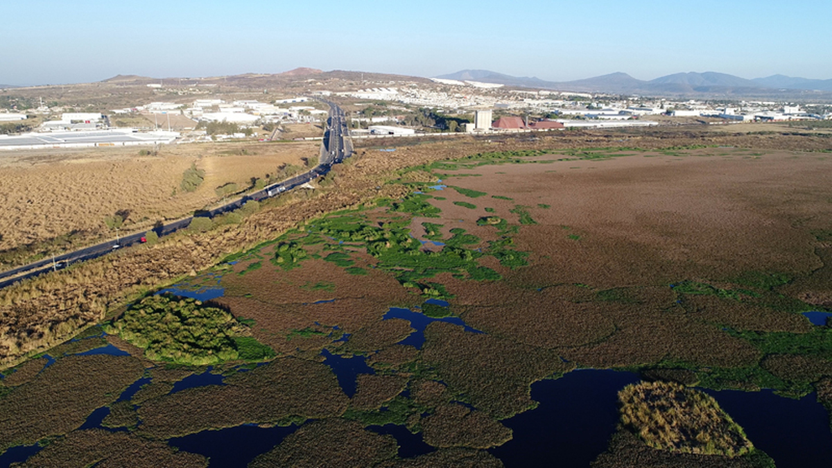 Compartimos la entrevista 🎙 con <a href="/AlanC_Gtz/">Alan Carmona Gtz</a>
de <a href="/unsaltodevidaac/">Un Salto De Vida</a> que denuncian el proceso de privatizar la Presa El Ahogado para urbanización. / go.ivoox.com/rf/91537138 | Por <a href="/RadioUdeG/">Radio Universidad de Guadalajara</a>  104.3 FM📻 <a href="/rmartinmar/">Rubén Martín</a> <a href="/jestradax/">Jesús Estrada</a> 
Foto: <a href="/lajornadaonline/">La Jornada</a>