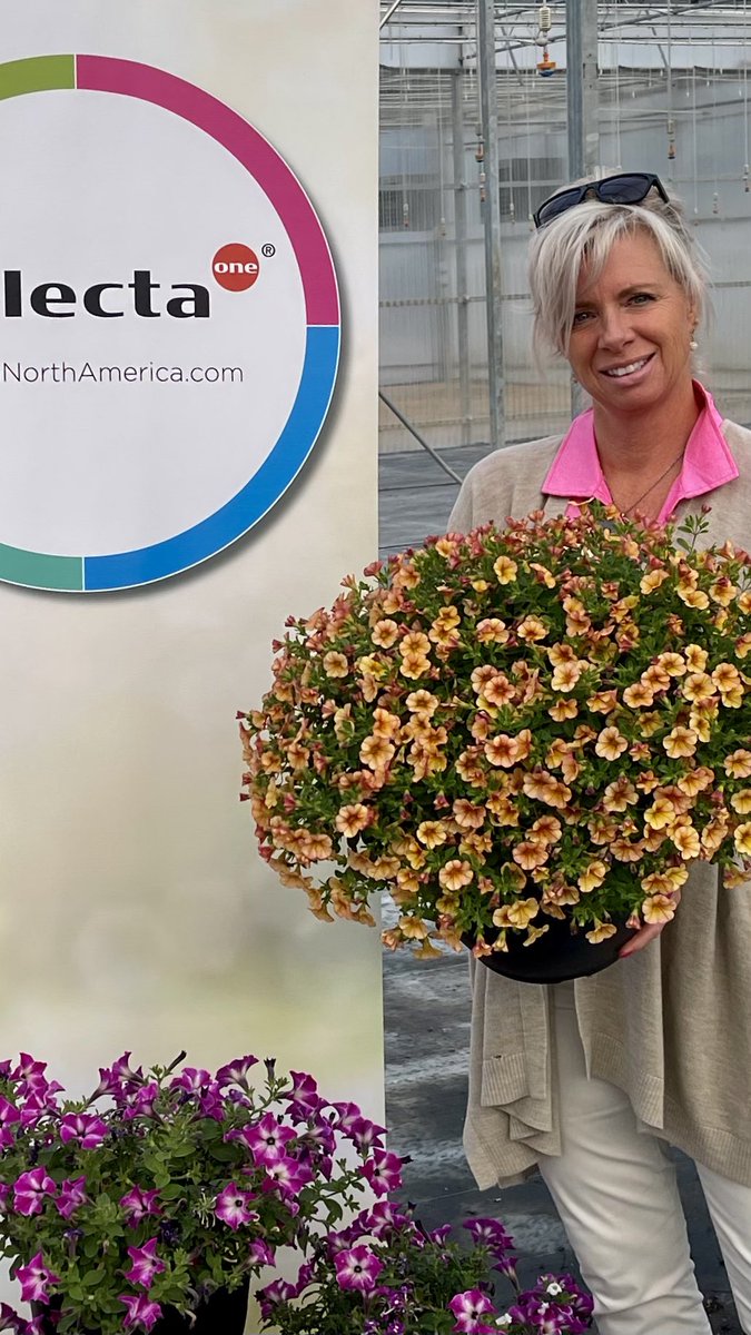 Tanya Carvalho tweet media