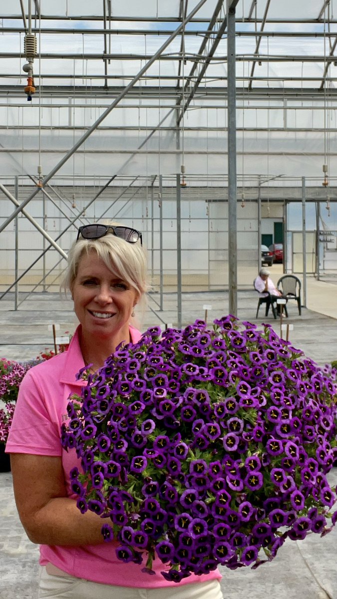 Tanya Carvalho tweet media