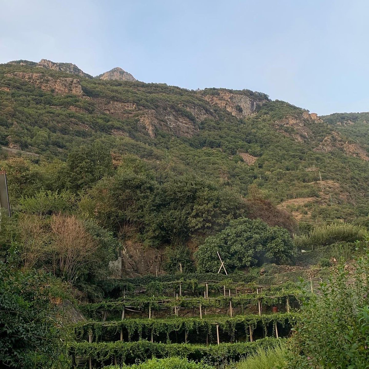 Sara Missaglia tweet media