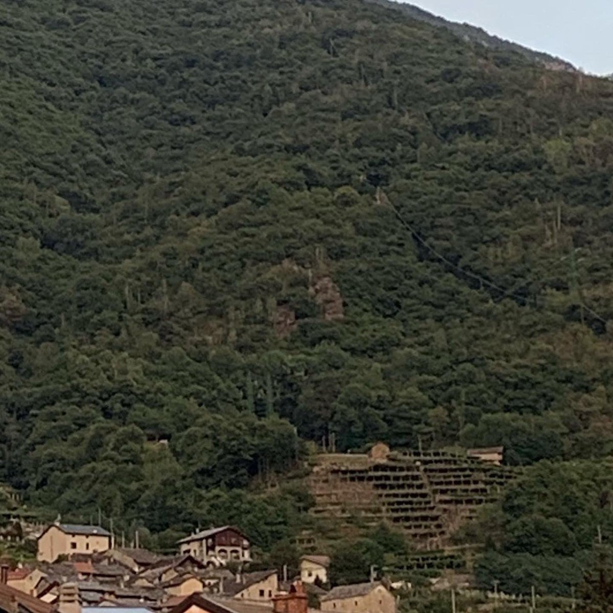 Sara Missaglia tweet media