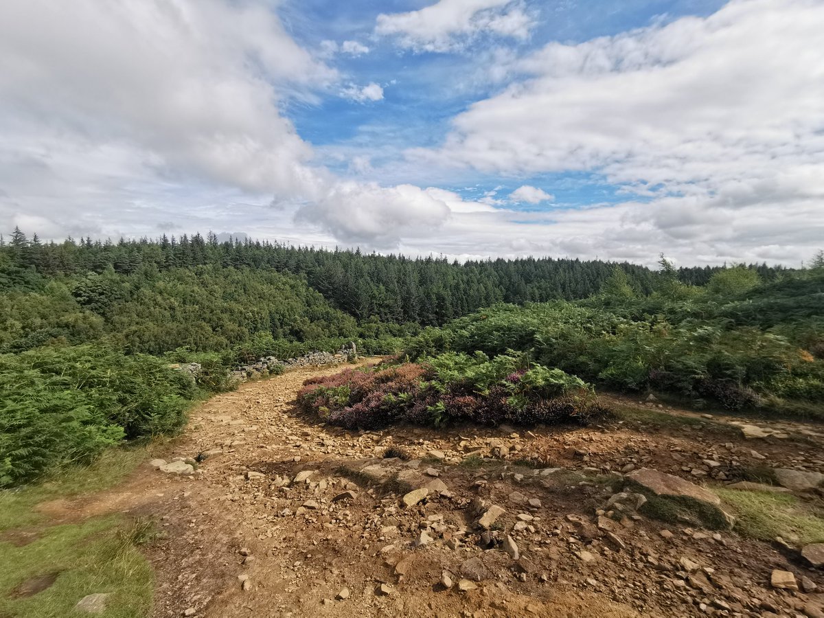 tismenic70's tweet photo. You can't get any better medicine for the body and mind than meeting up with old friends.. Talking a lot of rubbish.. Spending time in the great outdoors then talking some more rubbish whilst sitting in eating a spot of lunch in the sunshine.

#friends #outdoorlife
#getoutandwalk https://t.co/7N76q8MhQk