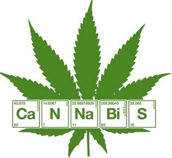 punto420's tweet photo. Nuevo Menú Cananilovers 🍁✨

#PurpleKush #Chocolope #SourDiesel #ElPunto420 #COVID19 #Envios #Gratis #Cdmx #Cod #dolar #Ymas #Weed #Flores https://t.co/dV7F6HMsCv