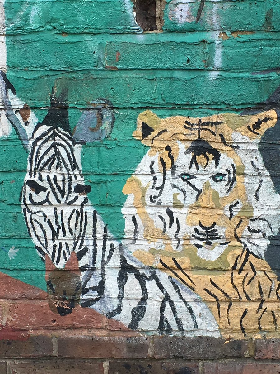 George Malamidis tweet media