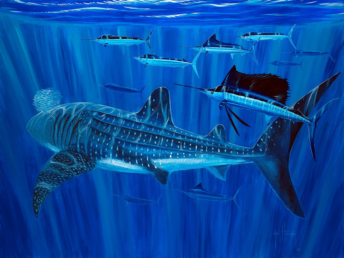 GuyHarveyOcean's tweet image. #WhaleSharkWednesday featuring one of our favorite pieces from @DrGuyHarvey!

#GHOF #GuyHarvey