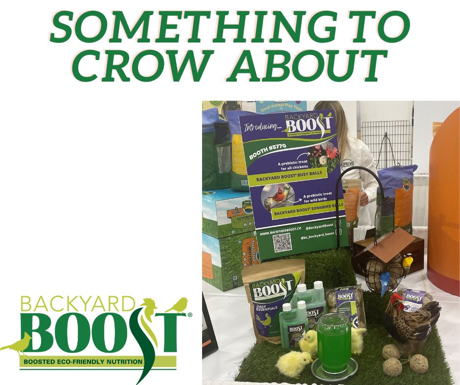 The World Pet Association just named the Backyard Boost Busy Balls and Songbird Balls the Best New Bird Products during its New Product Showcase at #SuperZoo. Stop by Booth 5770 to learn about these &amp; other BioZyme pet products. For more information: fal.cn/3rjZs.