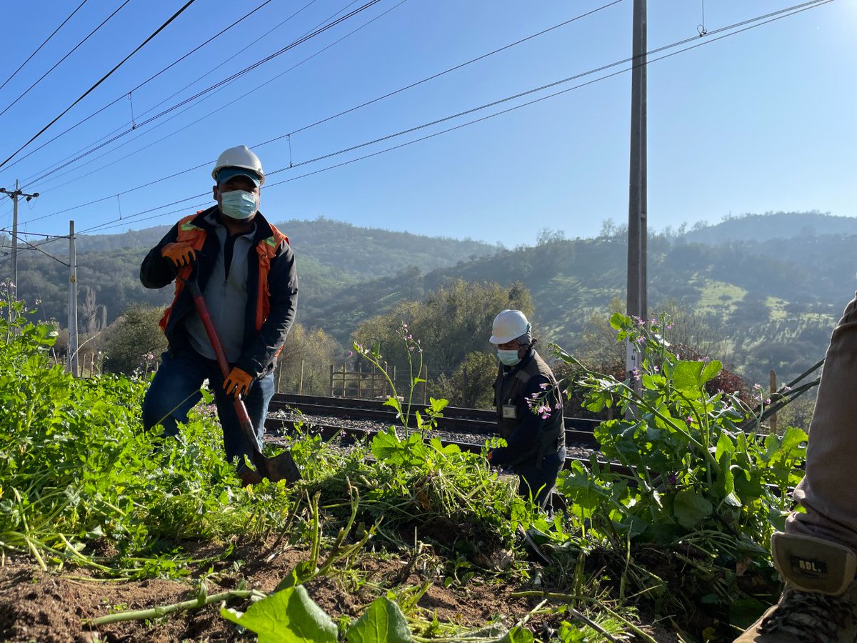 EFEValparaiso's tweet photo. 📌 Hace un par de semanas iniciaron los primeros trabajos que se enmarcan en las faenas para la construcción de la futura Estación Valencia 🚉. En terreno registramos los avances de esta obra, que aportará múltiples beneficios para los vecinos del sector ¡Seguimos avanzando! 💪🏻 https://t.co/CHHzvbKwiD