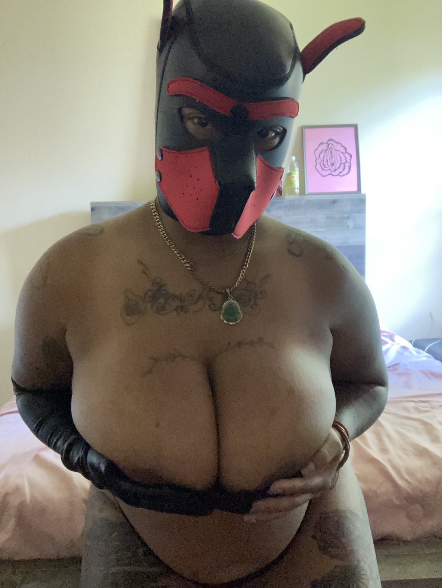 Content from vicciellis
