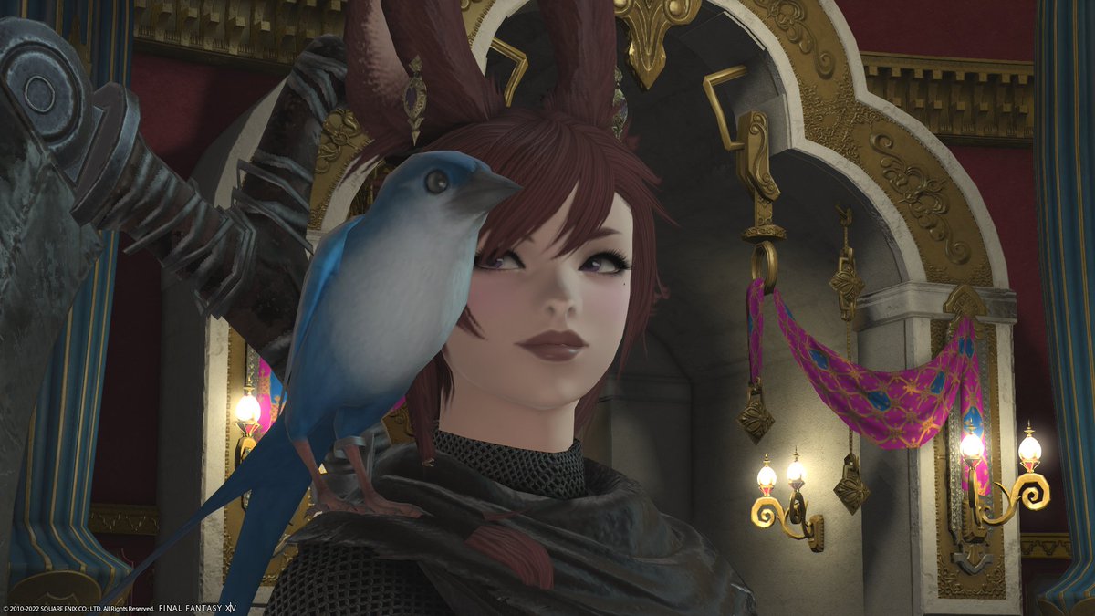 TesUltrosXIV's tweet photo. best friends https://t.co/AQK9mHxhcl