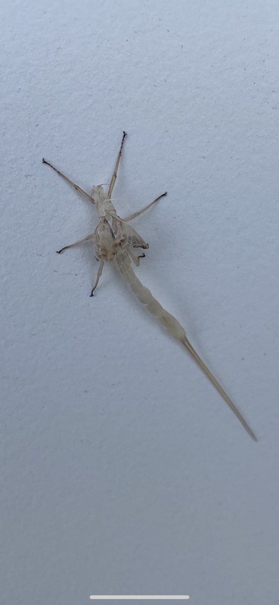 360Trader tweet media