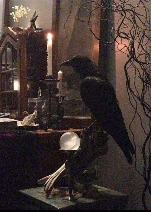 — Dark paradise…