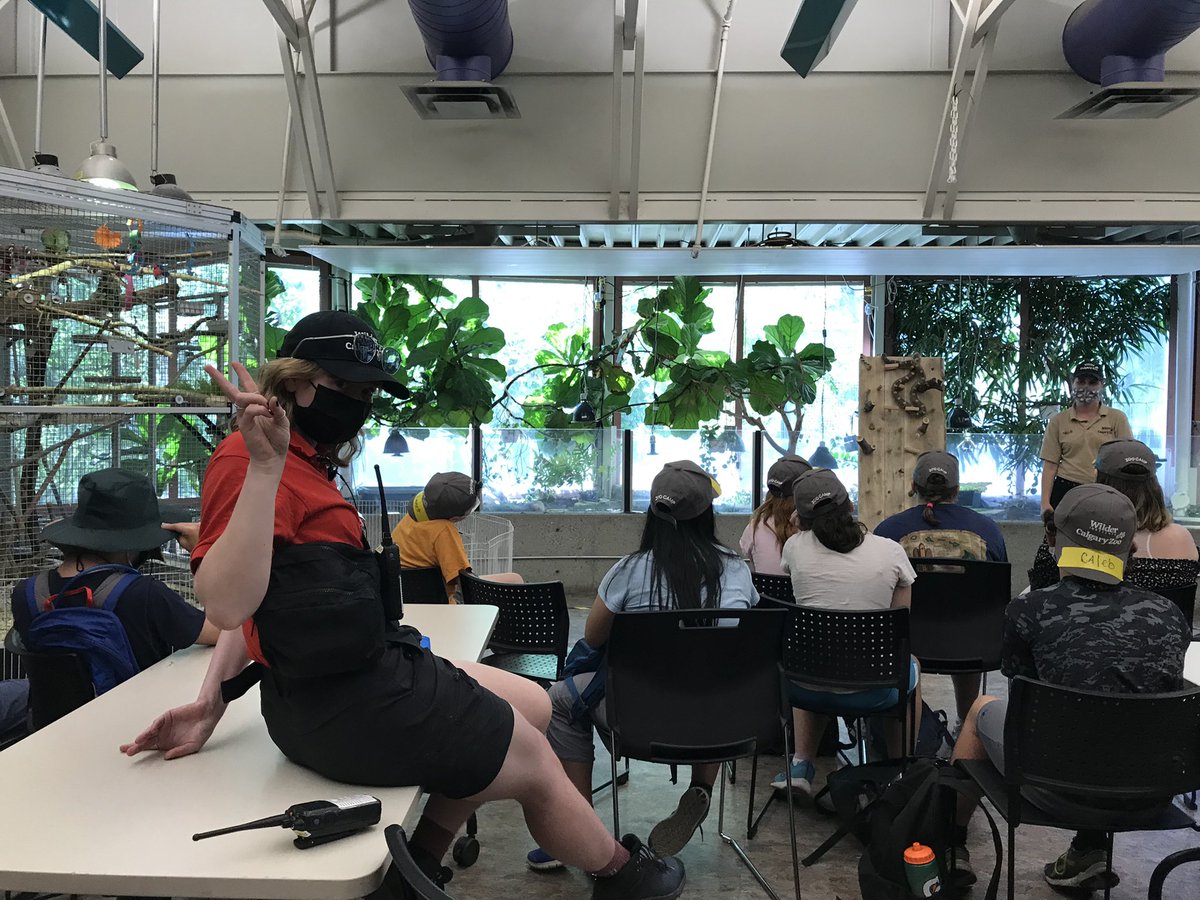 sarahnneumann's tweet photo. some zoo camp highlights :) https://t.co/5XRHl4NR8u