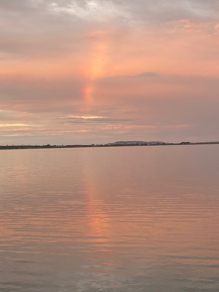 pogorman50's tweet photo. And Broadmeadow Estuary looking good too @Fingalcoco https://t.co/l90D5jkexD