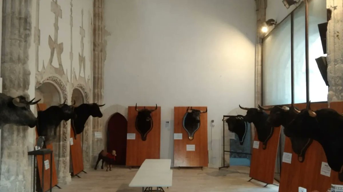 PtElEncierro's tweet photo. Inauguración de la exposición taurina.
"Más Allá de la Tauromaquia"
⚠️Recuerda⚠️
🕐 De 20.00h a 22.00h
🕐 En fiestas después del Encierro https://t.co/p3MYDrPdUG