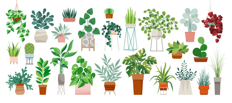 AndGenomics's tweet photo. Latest developments in #PlantGenomics
https://t.co/UoXMTEmxGD
#PlantSci #Genomics #Bioinformatics #FascinationOfPlantsDay #DNADay22 #AcademicChatter #ScienceTwitter #ReTweet #OpenScience #WomenInSTEM #OpenAccess #WomenInScience #WomenWhoCode #100DaysOfCode #DataScience #PhDchat https://t.co/XIQSgVJKyZ