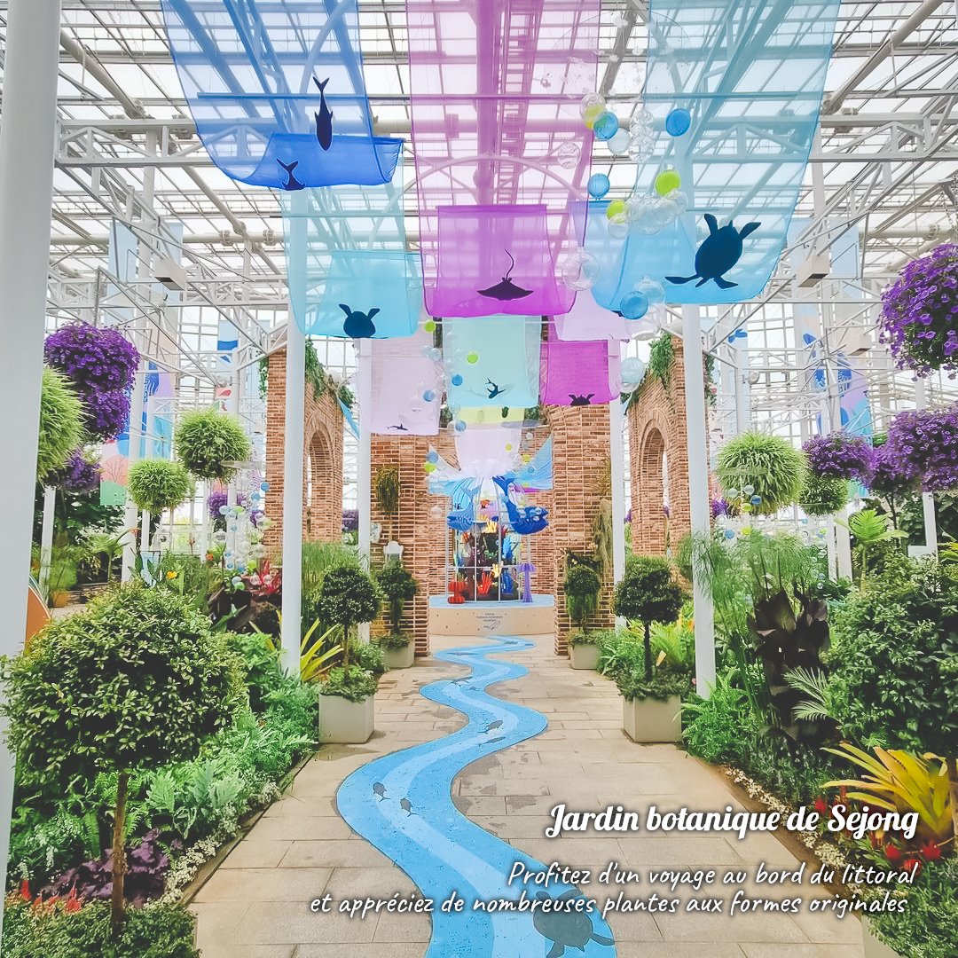 visitkoreaFR's tweet photo. Pourquoi ne pas profiter du beau temps pour se rendre dans un jardin botanique ? 🌱🌿

Il existe en Corée de nombreux endroits proposant à la fois de profiter des bienfaits des plantes tout en savourant un bon café ☕️🥤

✔️Sélection de 4 jardins botaniques tendances https://t.co/B6nd6OA9oo