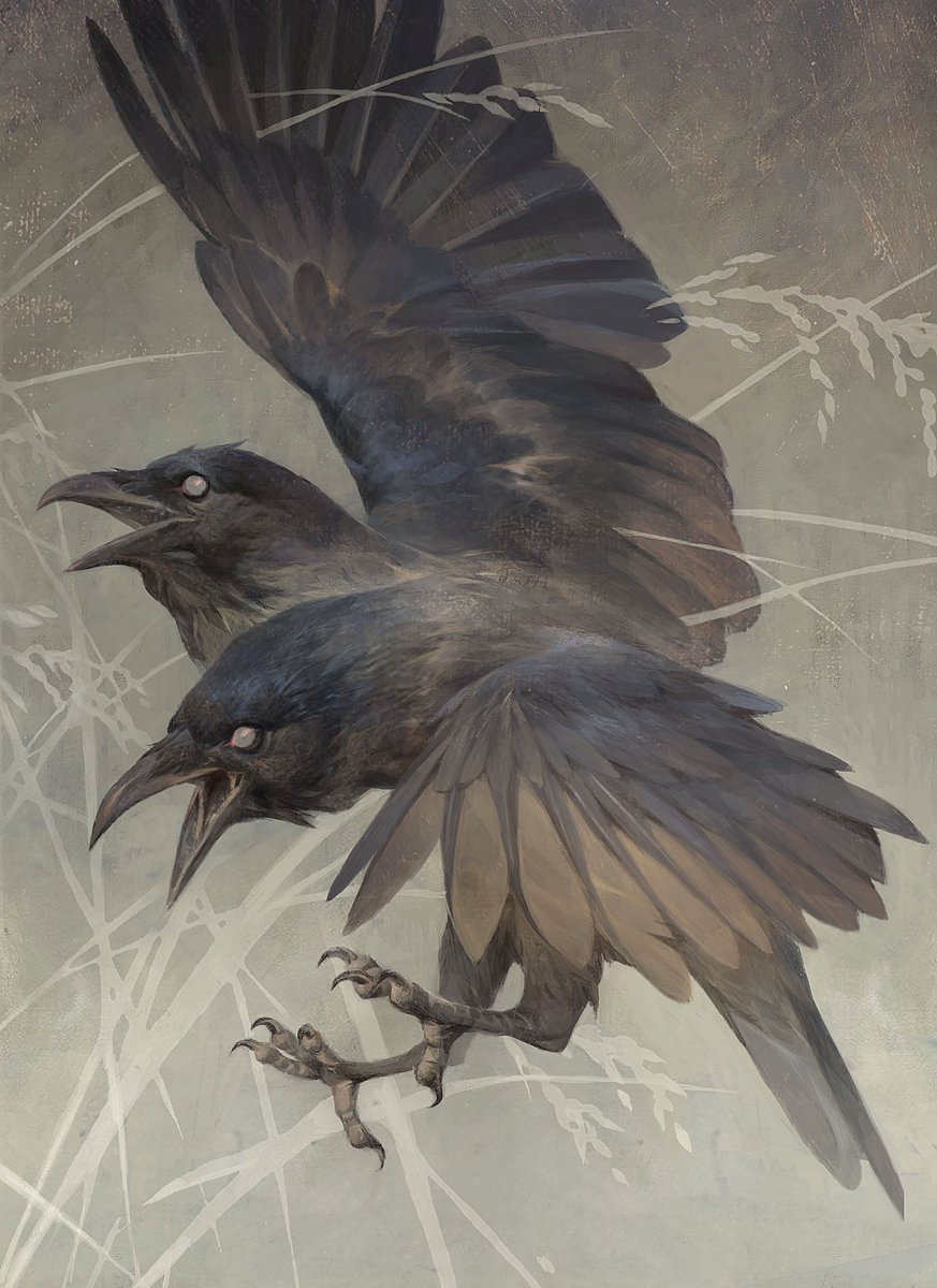 Betty Jiang tweet media