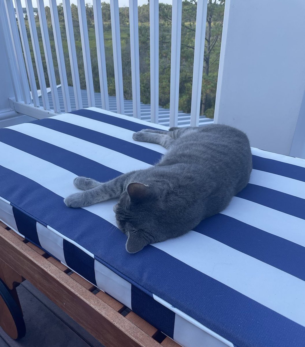 FLOTUS46Archive's tweet photo. She won’t leave my side! 

I’m grateful to have Willow with me as I recover from COVID-19. 💕 https://t.co/UxLVE8FQwf