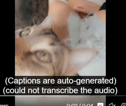 korimae on Twitter: "didn't expect twitter to also participate? lmao